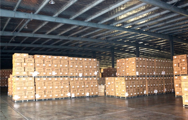 关于锦纶长丝，不可错过的知识点About nylon filament, must not miss the knowledge points